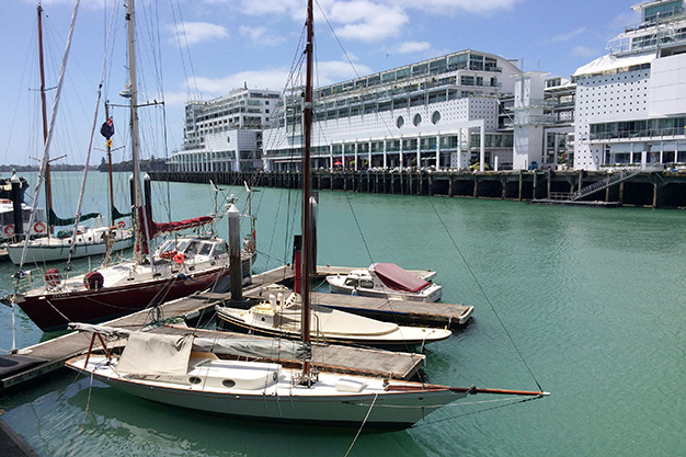 auckland-office